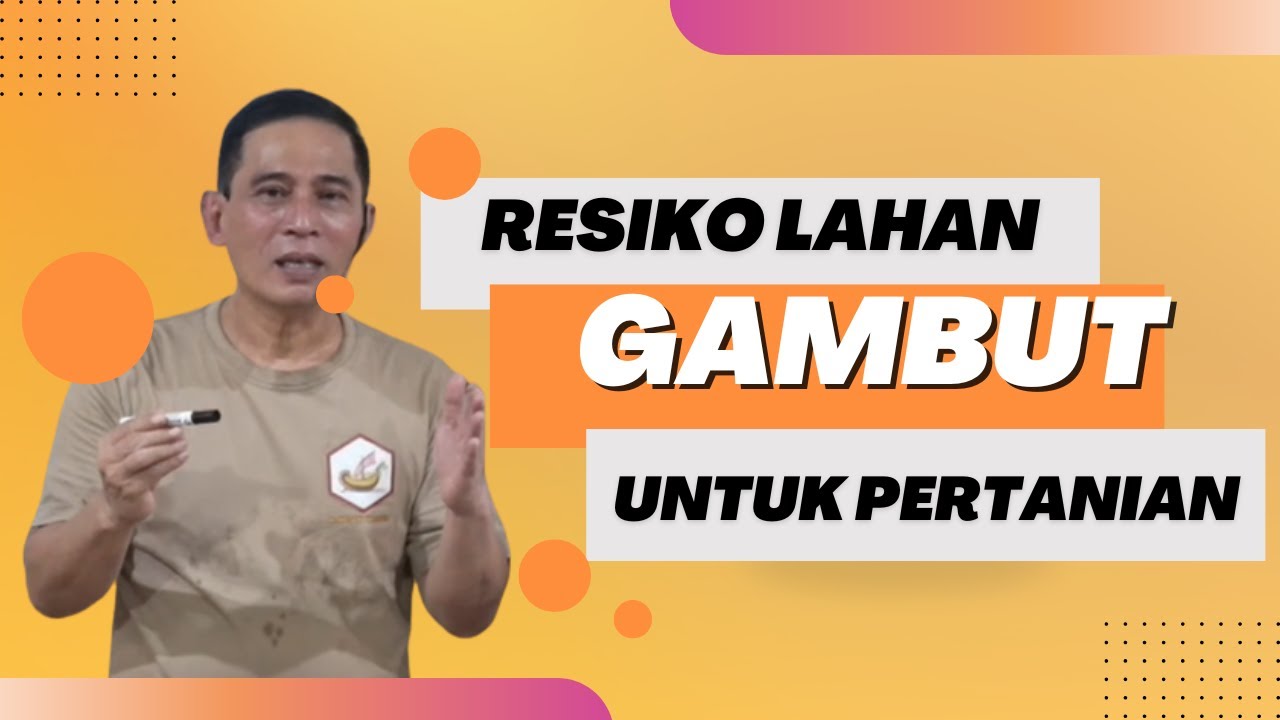 Resiko lahan Gambut Untuk Pertanian