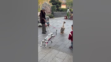 🤖 #robot  Doing Unbelievable Things! #nextgenai #automation #robotics #ai #shorts