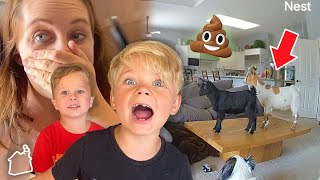 BREAKING INTO OUR HOUSE! (Caught On Camera)