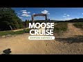 Moose cruise greenhill bikepark flowline level blau pov raw 2023