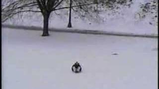 Picnic Table Sledding