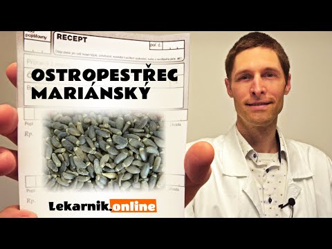 Video: Ostropestřec Mariánský