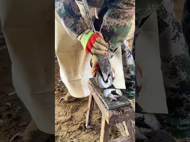 The master crafted a new shovel, cutting donkey hooves as easily as slicing vegetables, which is