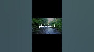 الشيخ محمد الليثي سورة يس #قرآن #المصحف #اكسبلور