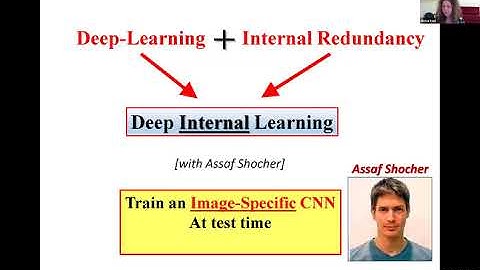 IS20: IP5: “Deep Internal Learning” -- Deep Learning with Zero Examples