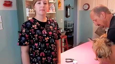 VTHT 1301 31422 AVMA Video Project