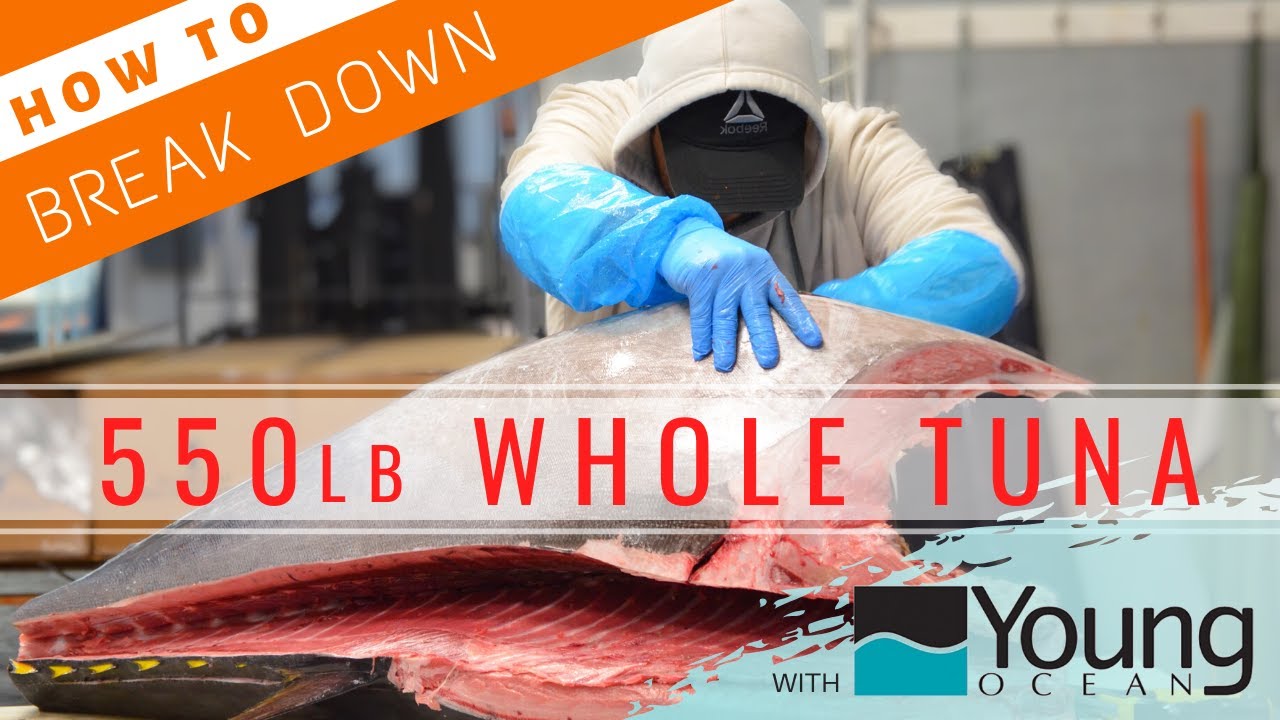 GRAPHIC// How to Break Down Whole Bluefin Tuna @Young Ocean【With Editor