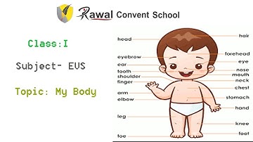Class- I, Subject- EVS, Topic- My Body, Rawal Convent School