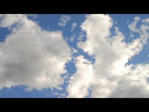 ქარმა დაუბერა