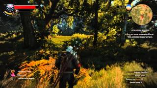 The Witcher 3 Wild Hunt прохождение DLC "Где кот и волк играют" (без комментариев) The Witcher 3 Wild Hunt прохождение DLC "Где кот и волк играют" (без комментариев)