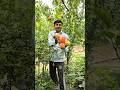 Best Anar Plant Fruit Amazing The Best Pomegranate Fruit It S Fruitcrops