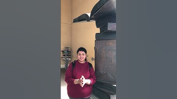 Why I love SCU Library!