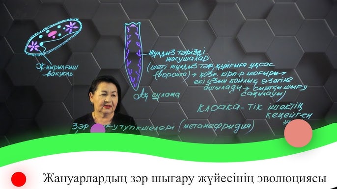Оргазм кезінде қынаптың жиырылуы туралы бейне