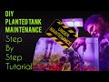 DIY AQUASCAPE Maintenance- DONE EASY!!!!!