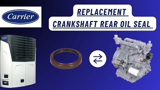 Replacement rear main seal Carrier unit.