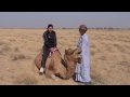 Camel safari in dhanana jaisalmer rajasthan