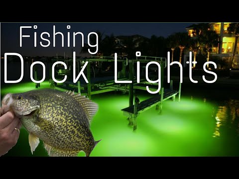 Dock Light Fishing 