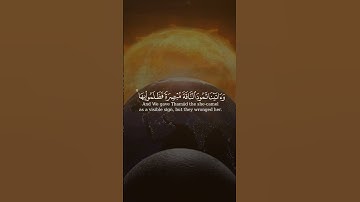 #ياسر_الدوسري #تلاوات #آيات #القرآن_الكريم #قرآن #قران_كريم #قران #ترند #القرآن #قرآن_كريم #quran
