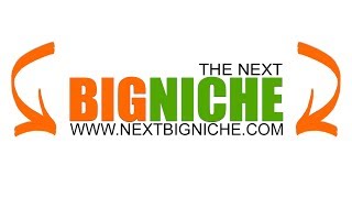 How To Find The Perfect Domain Name For Your Niche Website