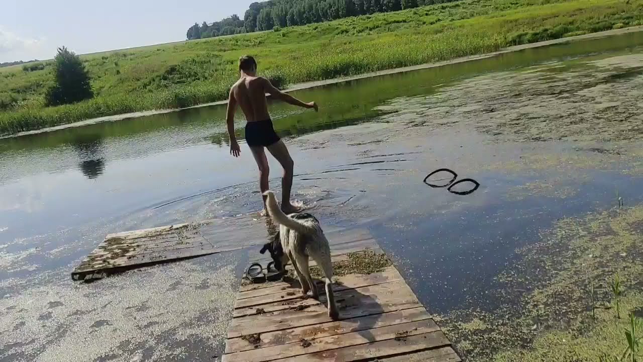 Жизнь в селе на веселе дзен