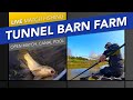 Live Match Fishing: Tunnel Barn Farm, Open Match, Canal Pool