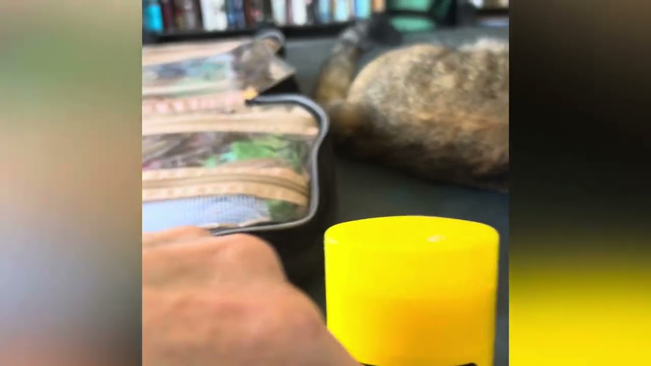 His & Her Toiletry Bags