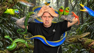 Ma Routine Avec 150 Animaux Et Une Très Grosse Déception - Toopet