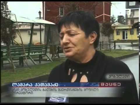 ქობულეთის ბაღების გაერთიანების ყოფილი დირექტორი გამგებელს ზეწოლაში ადანაშაულებს