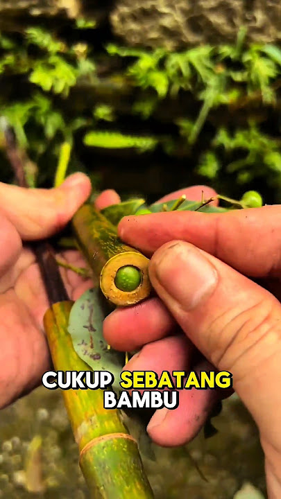 Mainan Anak Generasi tahun 90an 🥲