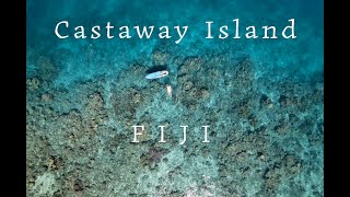 Castaway Island Fiji Family trip 2024