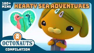 @Octonauts  ❤ Hearty Sea Adventures   | 3 Hours+ Compilation | Underwater Sea Education for Kids