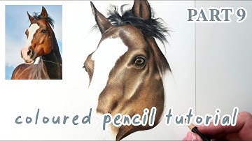 How to Draw a Horse in Coloured Pencils | Realistic Drawing Tutorial Full Series | Part 9