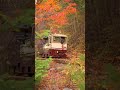【長野】紅葉の中を走る電車が美しすぎる！！！