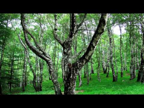 Felix Mendelssohn, Lieder