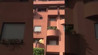 Cdb04215 96Db 4086 882A 7F668657C449