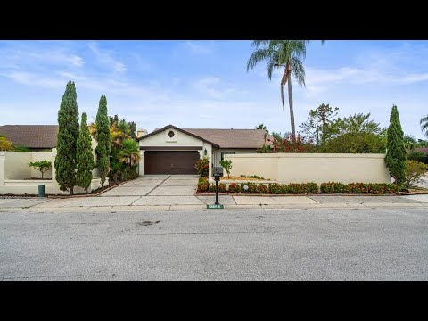 13512 Sobrado Dr, Tampa, FL home video tour