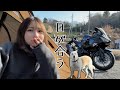 【-5℃】初対面の犬と戯れた極寒のソロキャンプ