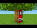 This Minecraft Tree Is Illegal... Here&#39;s Why