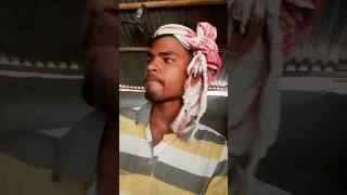 kala tikli | santhali video shoot video #santhali #video #newsanthalivideo