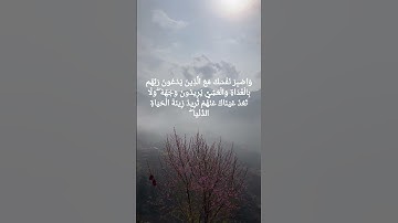 سورة الكهف #الحصري #المنشاوي #اكسبلور