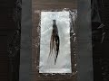 Removing black hair dye 🖤 Jet Black Color Pigment Refresher #pallure #colormask #jetblackhair