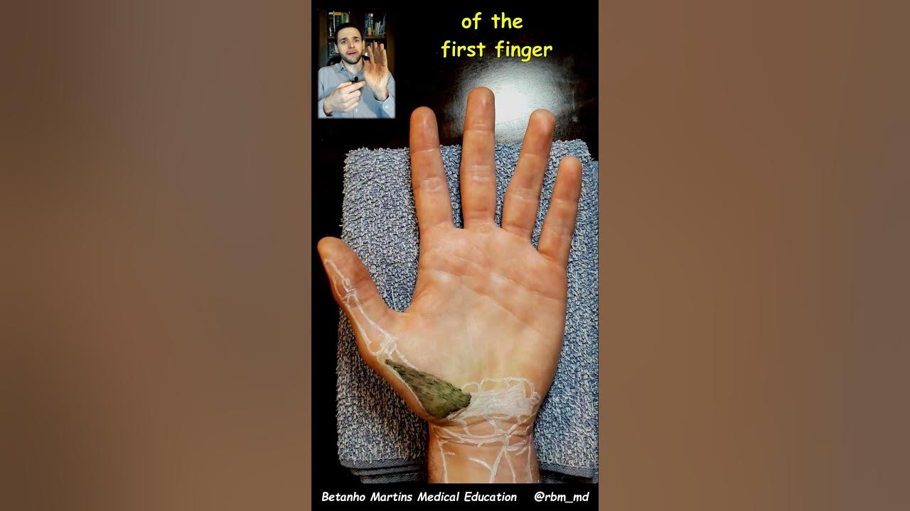 Movements that make up Opposition of the Thumb
