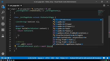 Flutter实战视频-移动电商50 50 持久化 shared preferences