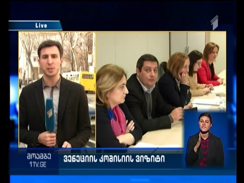 ვენეციის კომისიის დელეგაცია არასამთავრობოებს ხვდება - კომისიის დასკვნა მარტში გამოქვეყნდება