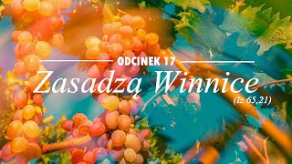 Zasadzą Winnice (Iz 65,21) odc.17