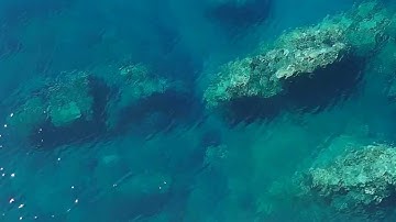 Chuck Lowry PDP Project- Exhilaration (HD)