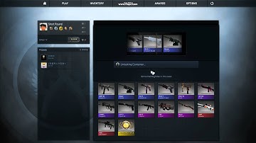 CS:GO Opening the Phoenix Case I just layed