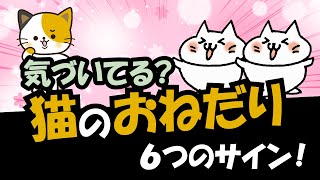 猫のこの仕草はおねだりや頼み事をしている！飼い主が気づいてあげたい6つのサイン