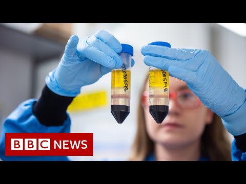 Coronavirus: When can I get the COVID-19 vaccine? - BBC News