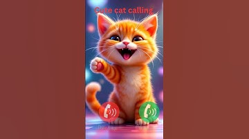 cat calling #ringtone #smartphone #music #ringtones #song #cat #funnycallringto #funny